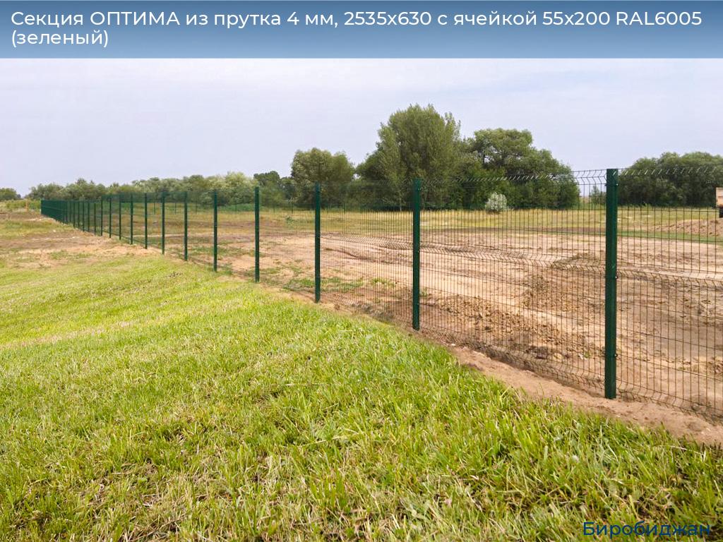 Секция ОПТИМА из прутка 4 мм, 2535x630 с ячейкой 55х200 RAL6005 (зеленый), birobidzhan.doorhan.ru