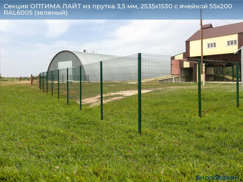 Секция ОПТИМА ЛАЙТ из прутка 3,5 мм, 2535x1530 с ячейкой 55х200 RAL6005 (зеленый), birobidzhan.doorhan.ru