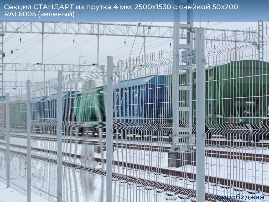 Секция СТАНДАРТ из прутка 4 мм, 2500x1530 с ячейкой 50х200 RAL6005 (зеленый), birobidzhan.doorhan.ru