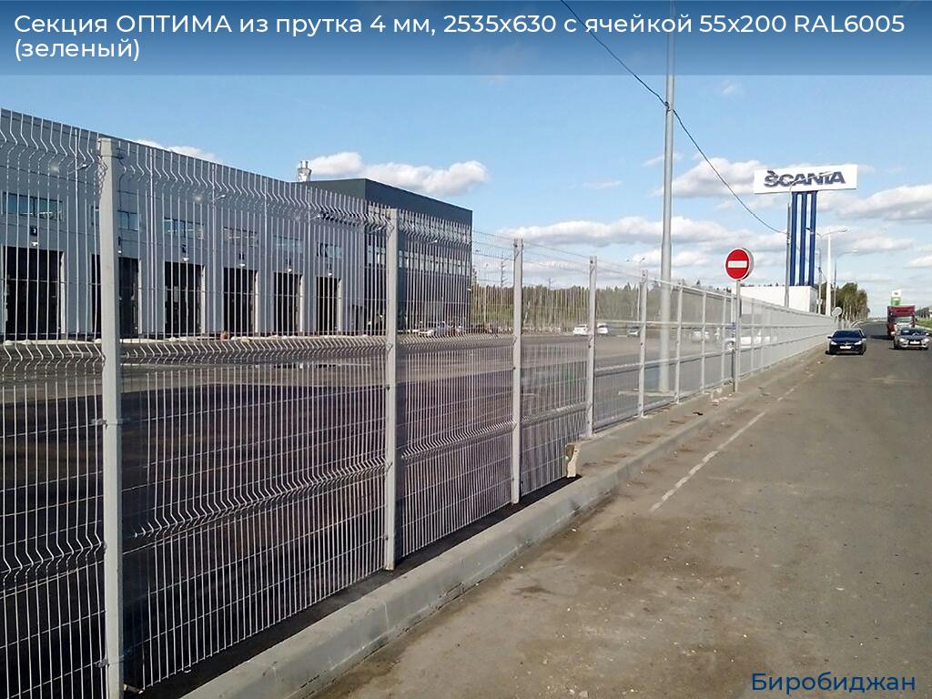Секция ОПТИМА из прутка 4 мм, 2535x630 с ячейкой 55х200 RAL6005 (зеленый), birobidzhan.doorhan.ru