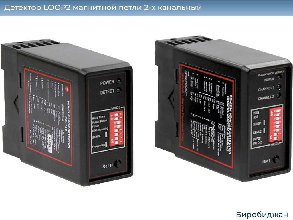 Детектор LOOP2 магнитной петли 2-x канальный, birobidzhan.doorhan.ru