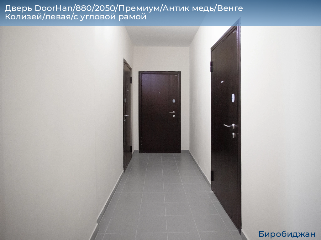 Дверь DoorHan/880/2050/Премиум/Антик медь/Венге Колизей/левая/с угловой рамой, birobidzhan.doorhan.ru