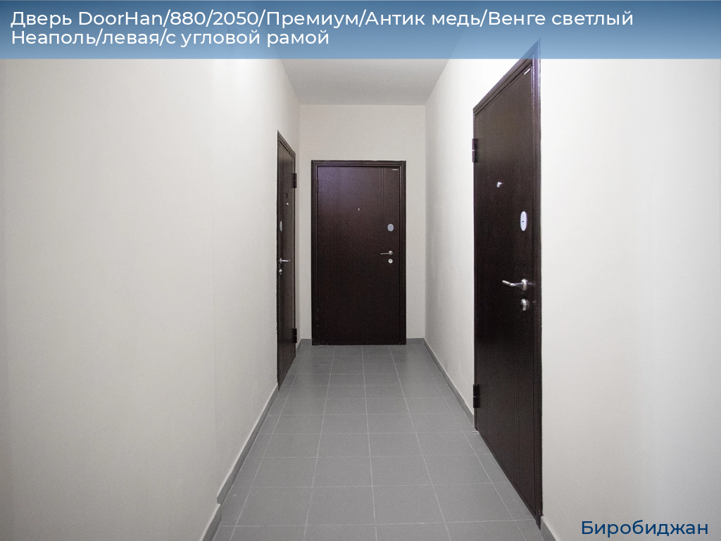 Дверь DoorHan/880/2050/Премиум/Антик медь/Венге светлый Неаполь/левая/с угловой рамой, birobidzhan.doorhan.ru