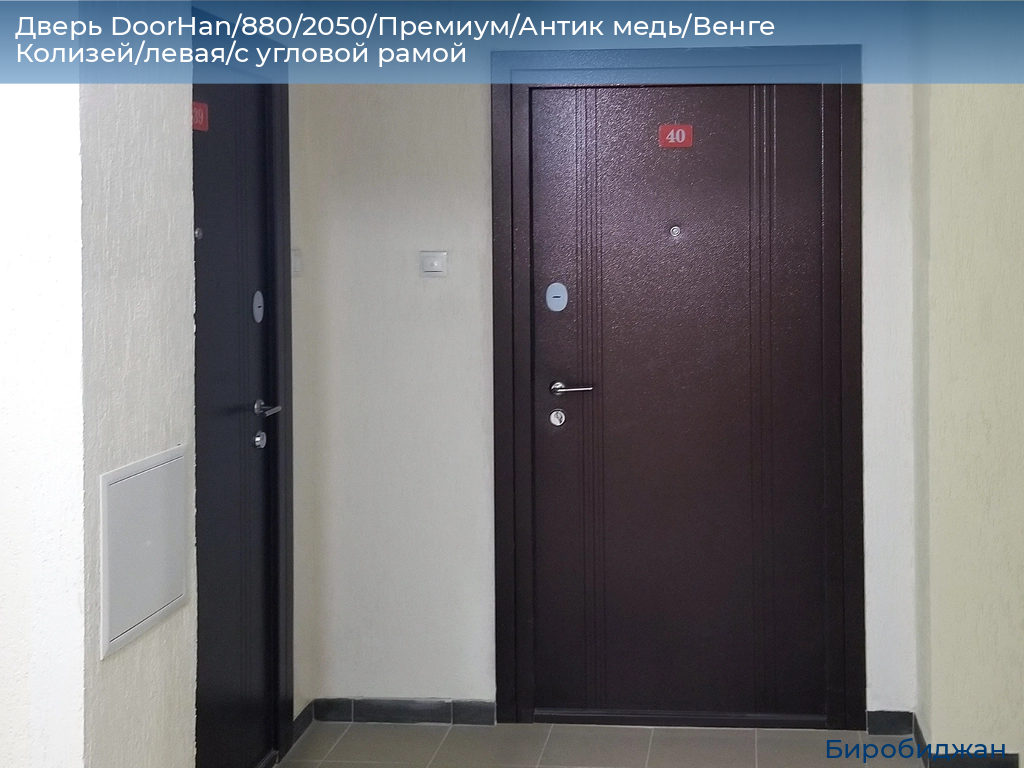 Дверь DoorHan/880/2050/Премиум/Антик медь/Венге Колизей/левая/с угловой рамой, birobidzhan.doorhan.ru