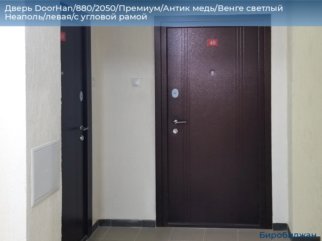 Дверь DoorHan/880/2050/Премиум/Антик медь/Венге светлый Неаполь/левая/с угловой рамой, birobidzhan.doorhan.ru