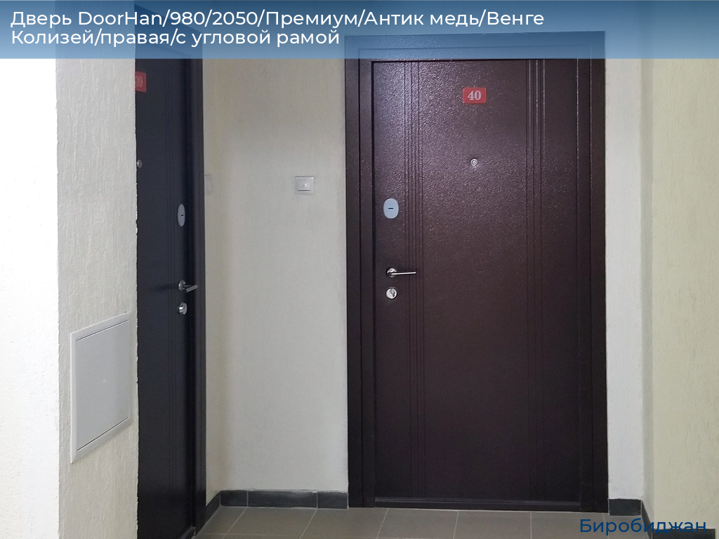 Дверь DoorHan/980/2050/Премиум/Антик медь/Венге Колизей/правая/с угловой рамой, birobidzhan.doorhan.ru
