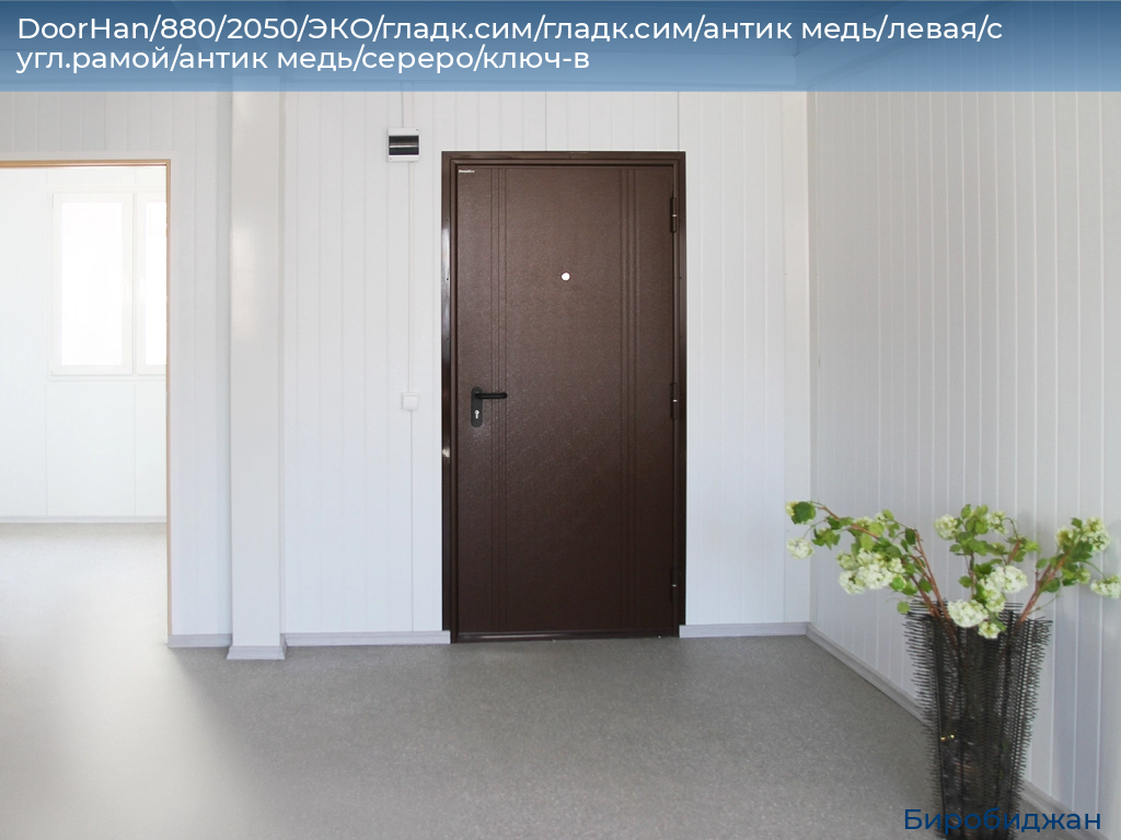 DoorHan/880/2050/ЭКО/гладк.сим/гладк.сим/антик медь/левая/с угл.рамой/антик медь/сереро/ключ-в, birobidzhan.doorhan.ru