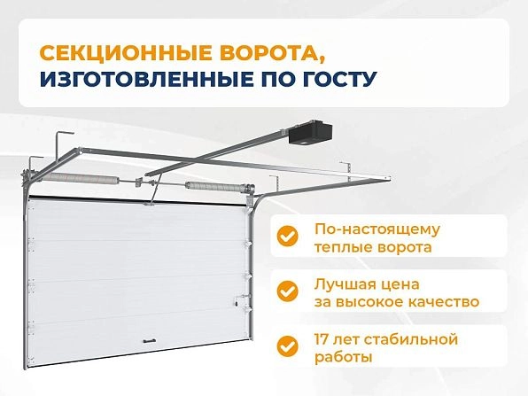 Cекционные ворота 3800х2150 мм белые DoorHan RSD02, birobidzhan.doorhan.ru